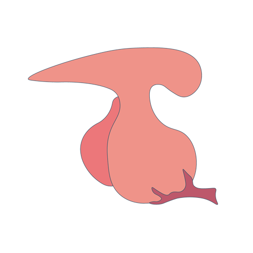 線粒體病基因檢測(cè)，基因解碼