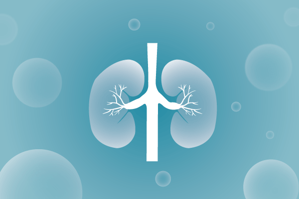 泌尿系統(tǒng)，腎臟，膀胱，尿病，腎不好遺傳病、基因病、罕見病的基因解碼，基因檢測，基因篩查與分子診斷