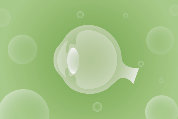 眼科，視光中心，眼科診所，眼睛相關(guān)遺傳病、基因病、罕見病的基因解碼，基因檢測，基因篩查與分子診斷