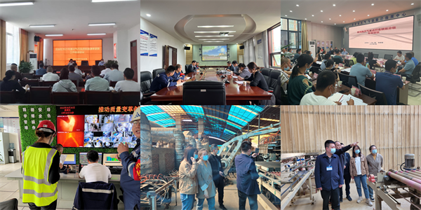 16710632416723225Nwu.png 2.png