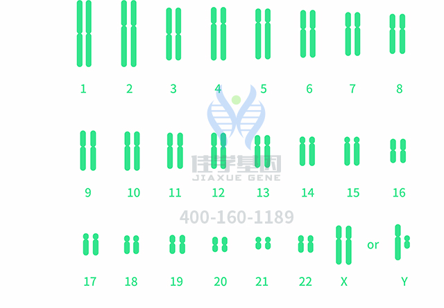 【佳學(xué)基因檢測(cè)】做多發(fā)性骨髓瘤易位1114型基因解碼、<a  data-cke-saved-href=http://alivewithwords.com/tk/jiema/cexujishu/2021/31933.html href=http://alivewithwords.com/tk/jiema/cexujishu/2021/31933.html>基因檢測(cè)</a>需要多少錢？