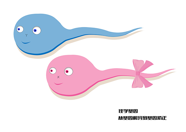 【佳學(xué)基因檢測】多指/并指畸形基因解碼、<a href=http://alivewithwords.com/tk/jiema/cexujishu/2021/31933.html>基因檢測</a>的報告看得懂嗎？