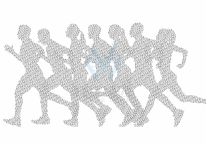 賜福美仙藥物<a href=http://alivewithwords.com/tk/jiema/cexujishu/2021/31933.html>基因檢測</a>