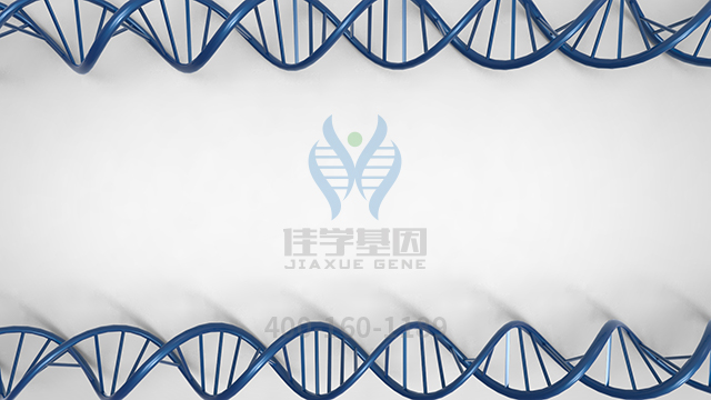 【佳學(xué)基因檢測】做耳聾常染色體隱性104型基因解碼、<a href=http://alivewithwords.com/tk/jiema/cexujishu/2021/31933.html>基因檢測</a>的費(fèi)用是多少？