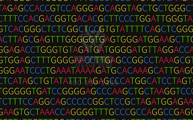 【佳學(xué)基因檢測】需要多長時間可以拿耳聾常染色體顯性1型基因解碼、<a href=http://alivewithwords.com/tk/jiema/cexujishu/2021/31933.html>基因檢測</a>報告？