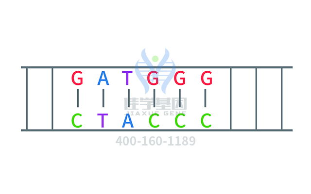 【佳學(xué)基因檢測】做先天性紅細(xì)胞生成性卟啉癥基因解碼、<a href=http://alivewithwords.com/tk/jiema/cexujishu/2021/31933.html>基因檢測</a>方便嗎？