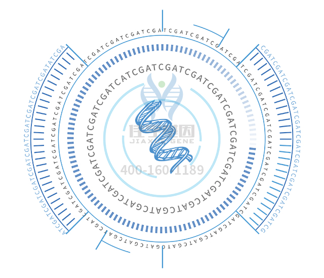 【佳學(xué)基因檢測(cè)】做Bj?rnstad綜合征基因解碼、<a  data-cke-saved-href=http://alivewithwords.com/tk/jiema/cexujishu/2021/31933.html href=http://alivewithwords.com/tk/jiema/cexujishu/2021/31933.html>基因檢測(cè)</a>方便嗎？