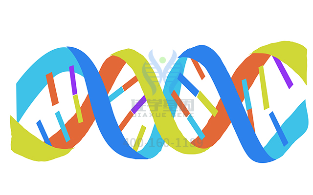 【佳學(xué)基因檢測】如何區(qū)分自閉癥嚴(yán)重基因解碼、<a href=http://alivewithwords.com/tk/jiema/cexujishu/2021/31933.html>基因檢測</a>？