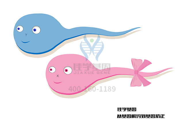 【佳學(xué)基因檢測(cè)】需要多長(zhǎng)時(shí)間可以拿Meige氏病基因解碼、<a href=http://alivewithwords.com/tk/jiema/cexujishu/2021/31933.html>基因檢測(cè)</a>報(bào)告？