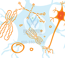 【佳學(xué)基因檢測】做Denys-Drash綜合征基因解碼、<a  data-cke-saved-href=http://alivewithwords.com/tk/jiema/cexujishu/2021/31933.html href=http://alivewithwords.com/tk/jiema/cexujishu/2021/31933.html>基因檢測</a>需要多少錢？