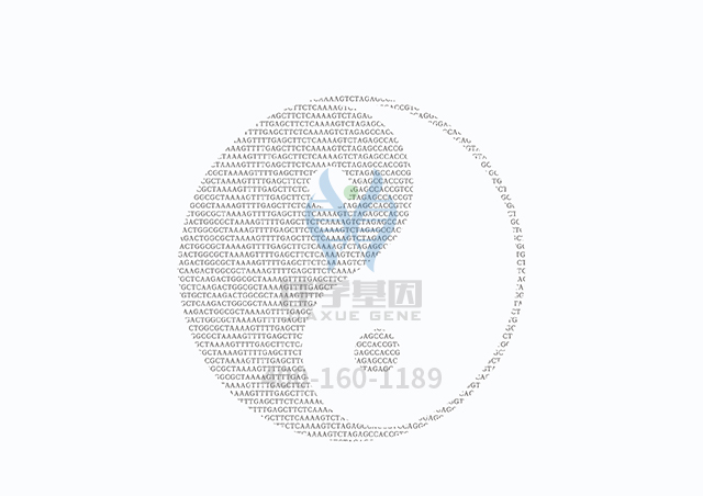 【佳學(xué)基因檢測(cè)】做網(wǎng)狀色素皮病基因解碼、<a  data-cke-saved-href=http://alivewithwords.com/tk/jiema/cexujishu/2021/31933.html href=http://alivewithwords.com/tk/jiema/cexujishu/2021/31933.html>基因檢測(cè)</a>需要多長(zhǎng)時(shí)間？