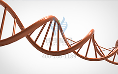 【佳學(xué)基因檢測】怎么做常染色體隱性廣泛性甲狀腺激素抵抗基因解碼、<a href=http://alivewithwords.com/tk/jiema/cexujishu/2021/31933.html>基因檢測</a>?