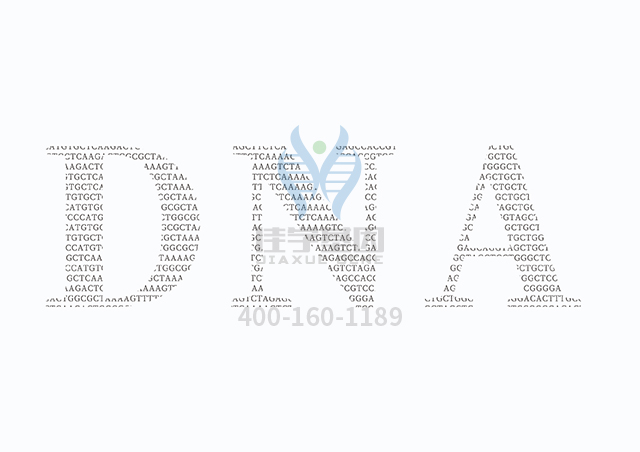 【佳學(xué)基因檢測】生精障礙10型基因解碼、<a href=http://alivewithwords.com/tk/jiema/cexujishu/2021/31933.html>基因檢測</a>怎么預(yù)約解讀？