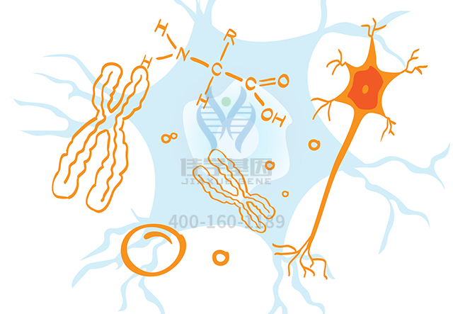 【佳學(xué)基因檢測(cè)】做牙齦增生基因解碼、<a href=http://alivewithwords.com/tk/jiema/cexujishu/2021/31933.html>基因檢測(cè)</a>方便嗎？