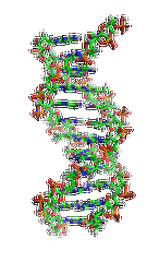【佳學(xué)基因檢測】眼皮膚白化病4型基因解碼、<a href=http://alivewithwords.com/tk/jiema/cexujishu/2021/31933.html>基因檢測</a>的報(bào)告有人解讀嗎？