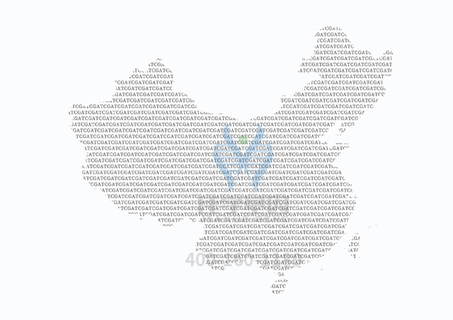 【佳學(xué)基因檢測】SDHB相關(guān)疾病基因解碼、<a href=http://alivewithwords.com/tk/jiema/cexujishu/2021/31933.html>基因檢測</a>可以只做基因解碼嗎？