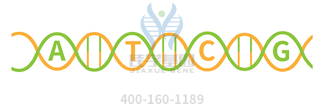 【佳學(xué)基因檢測】Townes-Brocks-branchiootorenal樣綜合征基因解碼、<a href=http://alivewithwords.com/tk/jiema/cexujishu/2021/31933.html>基因檢測</a>可以只做基因解碼嗎？