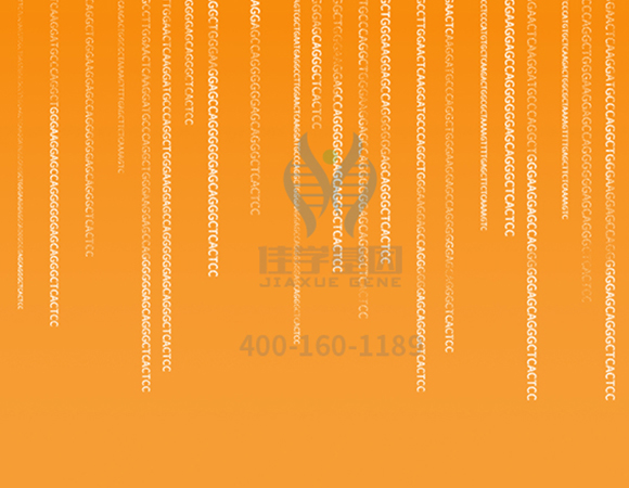 【佳學(xué)基因解碼-<a href=http://alivewithwords.com/tk/jiema/cexujishu/2021/31933.html>基因檢測</a>】這些舉動竟讓<font color='red'>脫發(fā)</font>的女孩們重拾自信！