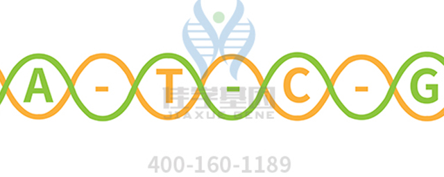 【佳學(xué)基因檢測】根本病（Nemoto disease)基因解碼、<a href=http://alivewithwords.com/tk/jiema/cexujishu/2021/31933.html>基因檢測</a>