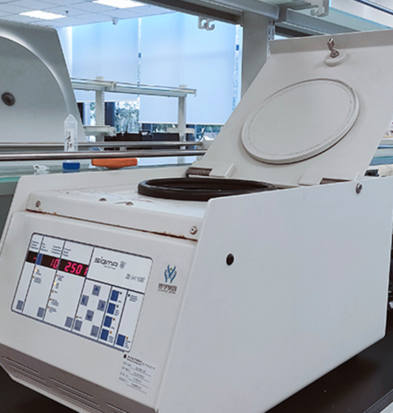 【佳學基因檢測】斯塔加特黃斑變性病（<font color='red'><font color='red'>stargardt</font></font> macular degeneration)基因解碼、<a href=http://alivewithwords.com/tk/jiema/cexujishu/2021/31933.html>基因檢測</a>