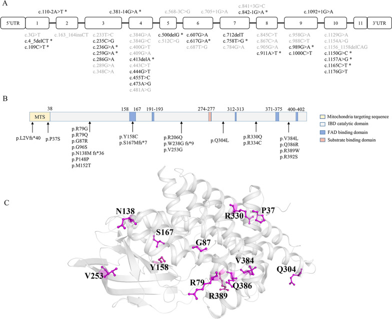 An external file that holds a picture, illustration, etc.
Object name is 13023_2021_2018_Fig1_HTML.jpg