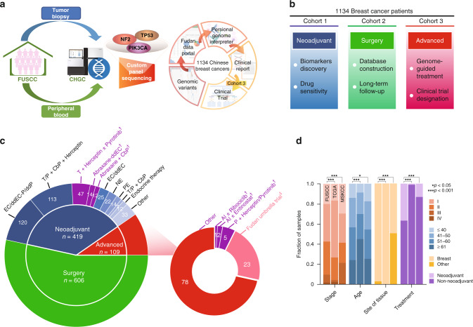 圖 1:醫(yī)學(xué)基因檢測(cè)如何幫助乳腺癌患者找到靶向藥物01